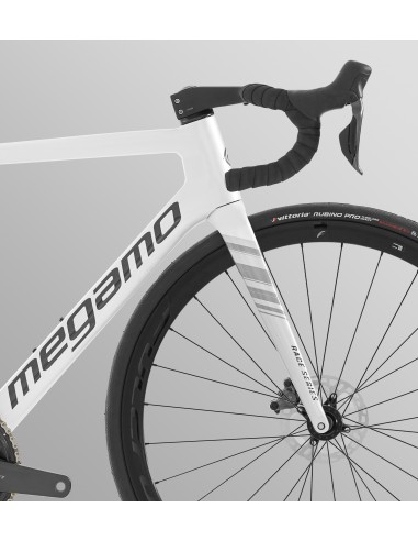 Megamo pulse elite 20 disc hot sale