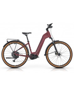 MTB e-bike MEGAMO Reach LOW...